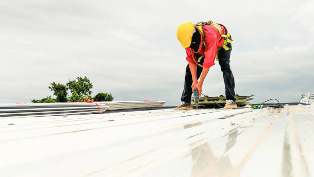 Best Roof Maintenance and Cleaning  in Greenbrier, AR